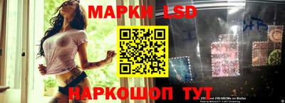дмт Краснодар