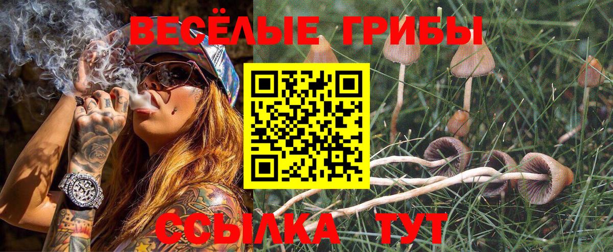 Галлюциногенные грибы GOLDEN TEACHER Заволжье